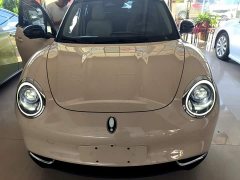 ORA Good Cat Morandi Edition 400km Standard Range Luxury Trim LFP - ფოტო 3