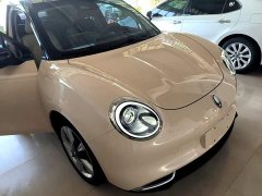 ORA Good Cat Morandi Edition 400km Standard Range Luxury Trim LFP - ფოტო 4