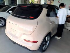 ORA Good Cat Morandi Edition 400km Standard Range Luxury Trim LFP - ფოტო 7