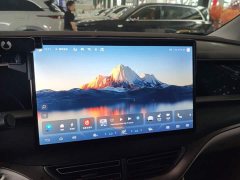 Denza BYD Denza D9 2022 DM-i 970 AWD Premium Edition - ფოტო 13