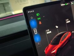 Tesla Model 3 Rear-Wheel Drive - ფოტო 14