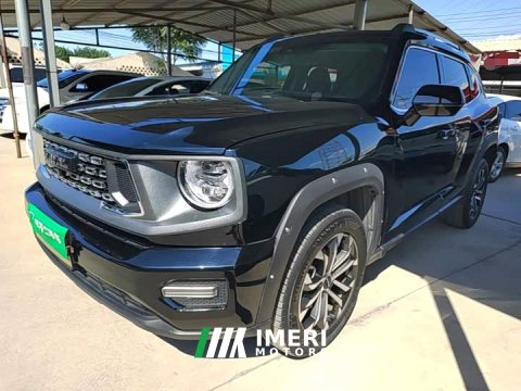 2024 Haval Big Dog PLUS 2023 1.5T Two-Wheel Drive Trendy Wilderness Edition Plus - ავტომობილი ჩინეთიდან