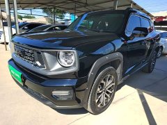 Haval Big Dog PLUS 2023 1.5T Two-Wheel Drive Trendy Wilderness Edition Plus - ფოტო 2