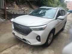 Haval M6 PLUS 1.5T DCT Liu Yan Special Edition - ფოტო 2