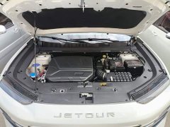 Jetour Jietu Dasheng 1.6T DCT Longteng MAX - ფოტო 20