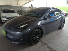 Tesla Model Y 2022 Performance All-Wheel Drive - ფოტო 2