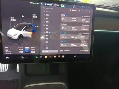 Tesla Model Y 2022 Performance All-Wheel Drive - ფოტო 9