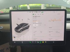Tesla Model Y 2022 Facelift Rear-Wheel Drive - ფოტო 13