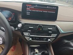 BMW 5 Series 2022 Facelift 530Li xDrive Luxury Package - ფოტო 13