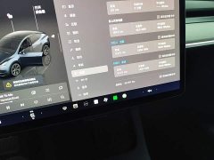 Tesla Model Y 2024 Long Range All-Wheel Drive - ფოტო 12