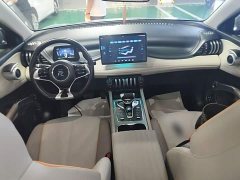 BYD Yuan Plus 2023 Champion Edition 510KM Leading - ფოტო 10