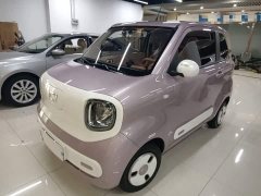 FAW Besturn Xiaoma 222km Agile Edition - ფოტო 1