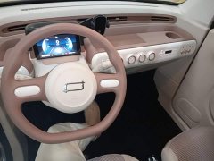 FAW Besturn Xiaoma 222km Agile Edition - ფოტო 10