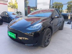 Tesla Model Y Rear-Wheel Drive - ფოტო 1