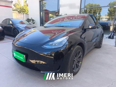2023 Tesla Model Y Rear-Wheel Drive - ავტომობილი ჩინეთიდან