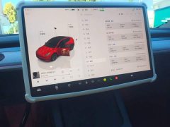 Tesla Model Y Rear-Wheel Drive - ფოტო 13