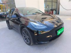 Tesla Model Y Rear-Wheel Drive - ფოტო 4