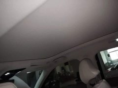Arcfox Alpha T6 2025 688MAX 175kW - ფოტო 18