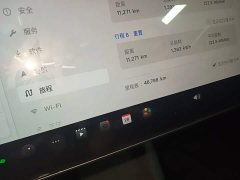 Tesla Model 3 Long Range All-Wheel Drive - ფოტო 12