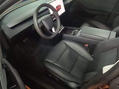 Tesla Model 3 Long Range All-Wheel Drive - ფოტო 16