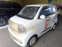 FAW Besturn Xiaoma 170km Vitality Edition - ფოტო 2