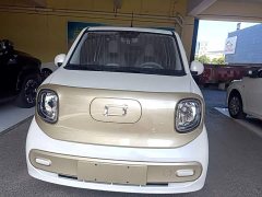 FAW Besturn Xiaoma 170km Vitality Edition - ფოტო 3