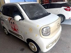 FAW Besturn Xiaoma 170km Vitality Edition - ფოტო 4