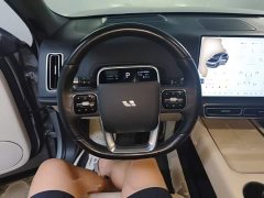 Li Auto L9 Max - ფოტო 7