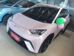 BYD Seagull Glory Edition 305km Vitality Version - ფოტო 1
