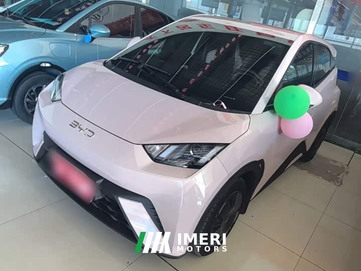 BYD Seagull Glory Edition 305km Vitality Version
