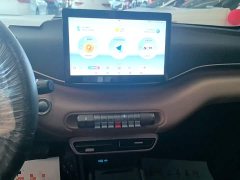 BYD Seagull Glory Edition 305km Vitality Version - ფოტო 13