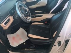 BYD Seagull Glory Edition 305km Vitality Version - ფოტო 15