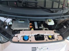 BYD Seagull Glory Edition 305km Vitality Version - ფოტო 20