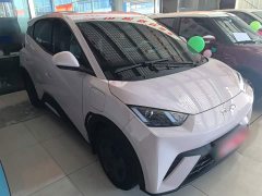 BYD Seagull Glory Edition 305km Vitality Version - ფოტო 4