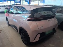 BYD Seagull Glory Edition 305km Vitality Version - ფოტო 5