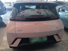 BYD Seagull Glory Edition 305km Vitality Version - ფოტო 6