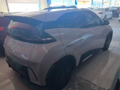 BYD Seagull Glory Edition 305km Vitality Version - ფოტო 7