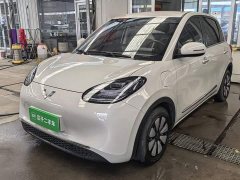 Wuling Binguo 333km Joy Edition - ფოტო 1