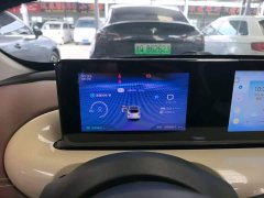 Wuling Binguo 333km Joy Edition - ფოტო 12