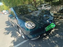 ORA Good Cat Morandis 400km Standard Range Luxury Ternary Lithium - ფოტო 4