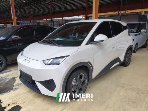 2025 BYD Seagull Smart Drive 405km Freedom Edition