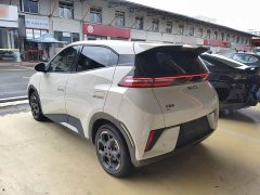 BYD Seagull Smart Drive 405km Freedom Edition - ფოტო 5