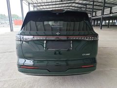 Dongfeng eπ008 210Ultra Ruoyi Edition 6-Seater - ფოტო 6