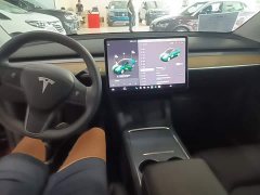 Tesla Model Y Rear-Wheel Drive - ფოტო 10