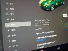 Tesla Model Y Rear-Wheel Drive - ფოტო 12