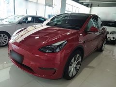 Tesla Model Y Rear-Wheel Drive - ფოტო 2
