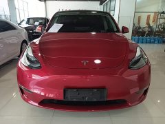 Tesla Model Y Rear-Wheel Drive - ფოტო 3