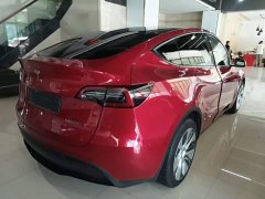 Tesla Model Y Rear-Wheel Drive - ფოტო 7