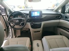 Buick GL8 Land Official Business Class 652T Comfort Edition - ფოტო 10