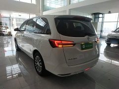 Buick GL8 Land Official Business Class 652T Comfort Edition - ფოტო 5